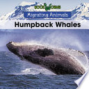 Humpback Whales cover