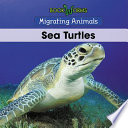 Sea Turtles cover