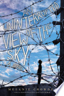 An Uninterrupted View of the Sky cover