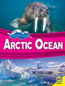 Arctic Ocean cover