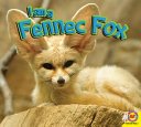 I Am a Fennec Fox cover