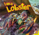 I Am a Lobster cover