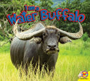 I Am a Water Buffalo cover