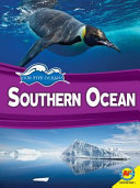 Southern Ocean cover
