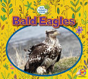 Bald Eagles cover