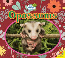 Opossums cover