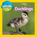 Ducklings cover