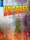 Wildfires (Lightbox) cover
