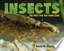 Insects: The Most Fun Bug Book Ever cover