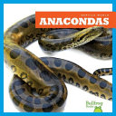 Anacondas (English) cover