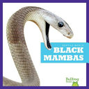 Black Mambas cover
