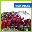 Tundras (English) cover