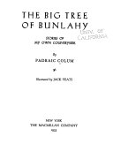 The Big Tree of Bunlahy cover
