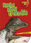 Meet a Baby Crocodile cover