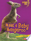 Meet a Baby Kangaroo cover