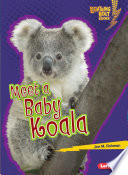 Meet a Baby Koala cover