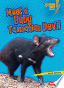 Meet a Baby Tasmanian Devil cover