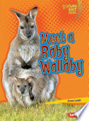 Meet a Baby Wallaby cover