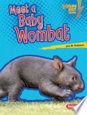 Meet a Baby Wombat cover