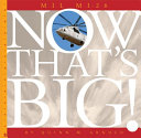 Mil Mi-26 cover