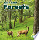 All About Forests cover