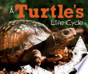 A Turtle's Life Cycle cover