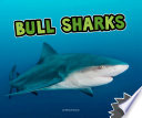 Bull Sharks cover