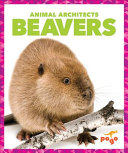 Beavers cover