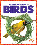 Birds cover