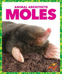 Moles cover