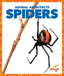 Spiders cover