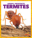 Termites cover