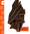 Bats cover