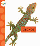 Geckos cover