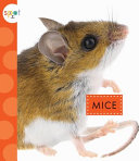 Mice cover