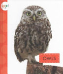 Owls cover