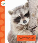 Raccoons cover