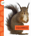 Squirrels cover