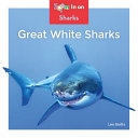 Great White Sharks cover
