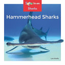Hammerhead Sharks cover