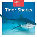 Tiger Sharks cover