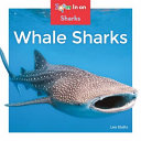 Whale Sharks cover