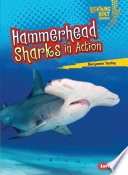 Hammerhead Sharks in Action cover