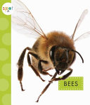 Bees cover