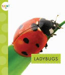 Ladybugs cover