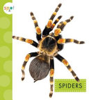 Spiders cover