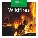 Wildfires cover