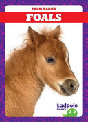 Foals cover