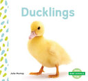 Ducklings cover