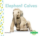Elephant Calves cover